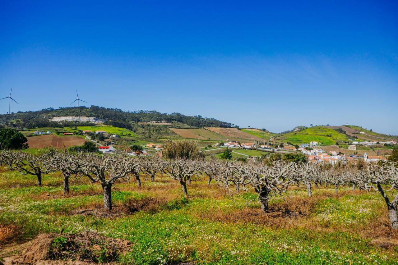 Traditional Portuguese Village House - Casa Martins No 52 Freiria Exterior photo